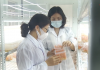 Ứng dụng KHCN trong sản xuất