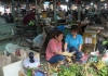 Bảo hiểm xã hội 30/5/2023