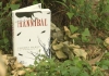 MN1CS:  HANNIBAL