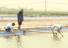 Nhịp cầu nhà nông 14/4/2023