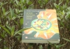 PHẬT TRONG HẺM NHỎ