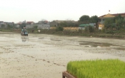 Bác Hồ với ngành nông nghiệp tỉnh Nam Định