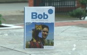 Bob - Chú mèo đường phố