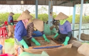 Búa liềm Vàng - Khơi dậy tiềm năng biển _ Hành trình mới của Nam Định ( Kỳ I )