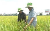 Câu chuyện xóm làng  04/6/2024
