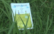 Cây chuối non đi giầy xanh
