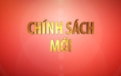 Chính sách mới: Chính sách hỗ trợ mùa dịch ( Số 01 )