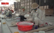 Chuyện đời chuyện nghề: Giữ nghề gốm sứ Đông Triều