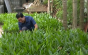 Chuyển động nông thôn  05/02/2024