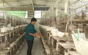 Chuyển động nông thôn  06/11/2023