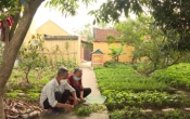 Chuyển động nông thôn 07/11/2022