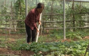 Chuyển động nông thôn ( 09/03/2020 )