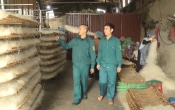 Chuyển động nông thôn  15/5/2023