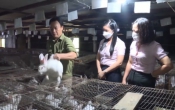 Chuyển động nông thôn  26/6/2023