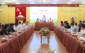 Đảng trong cuộc sống  19/4/2023