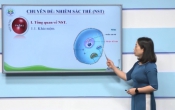 Dạy học trên truyền hình: Ôn tập  kiến thức Sinh học 9 - Chuyên đề:  Nhiễm sắc thể ( 24/03/2020 )