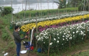 Góc nhìn văn hóa  06/02/2022