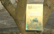 Hai nửa chiến tranh
