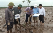 Khoa học công nghệ ( 02/04/2019 )