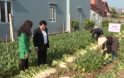 Khoa học công nghệ  14/3/2023