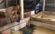 Khoa học công nghệ  16/7/2024