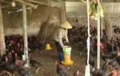 Khởi nghiệp  08/10/2024