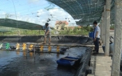 Khởi nghiệp  15/02/2022