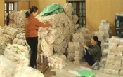 Khởi nghiệp  22/4/2025