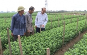 Khởi nghiệp  22/5/2024
