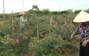 Khởi nghiệp  22/8/2023