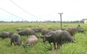 Khởi nghiệp  23/01/2024