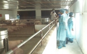 Khởi nghiệp  23/8/2022