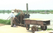 Khởi nghiệp ( 24/06/2019 )