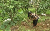 Khởi nghiệp  24/9/2024