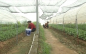 Khởi nghiệp  25/7/2023