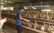 Khởi nghiệp  26/12/2023