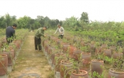 Khởi nghiệp  26/3/2024