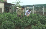 Khởi nghiệp ( 28/05/2019 )