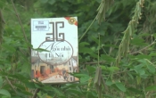 MN1CS:  36 Ngôi nhà Hà Nội