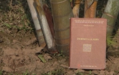 MN1CS:  Âm binh và lá ngón