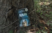 MN1CS:  Bị bán