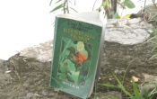 MN1CS:  Biên niên sử xứ Prydain