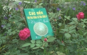 MN1CS:  Các nền văn hóa khảo cổ tiêu biểu ở Việt Nam