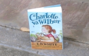 MN1CS:  Charlotte và Wilbur