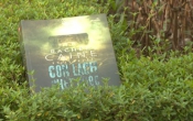 MN1CS  Con lạch chết chóc
