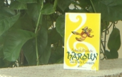 MN1CS:  Harous và biển truyện