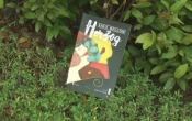 MN1CS:  Herzog