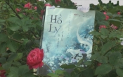 MN1CS:  Hồ Ly biết yêu