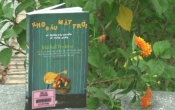 MN1CS:  Kho báu mặt trời và những câu chuyện về thiên nhiên