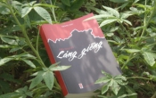 MN1CS: Láng giềng